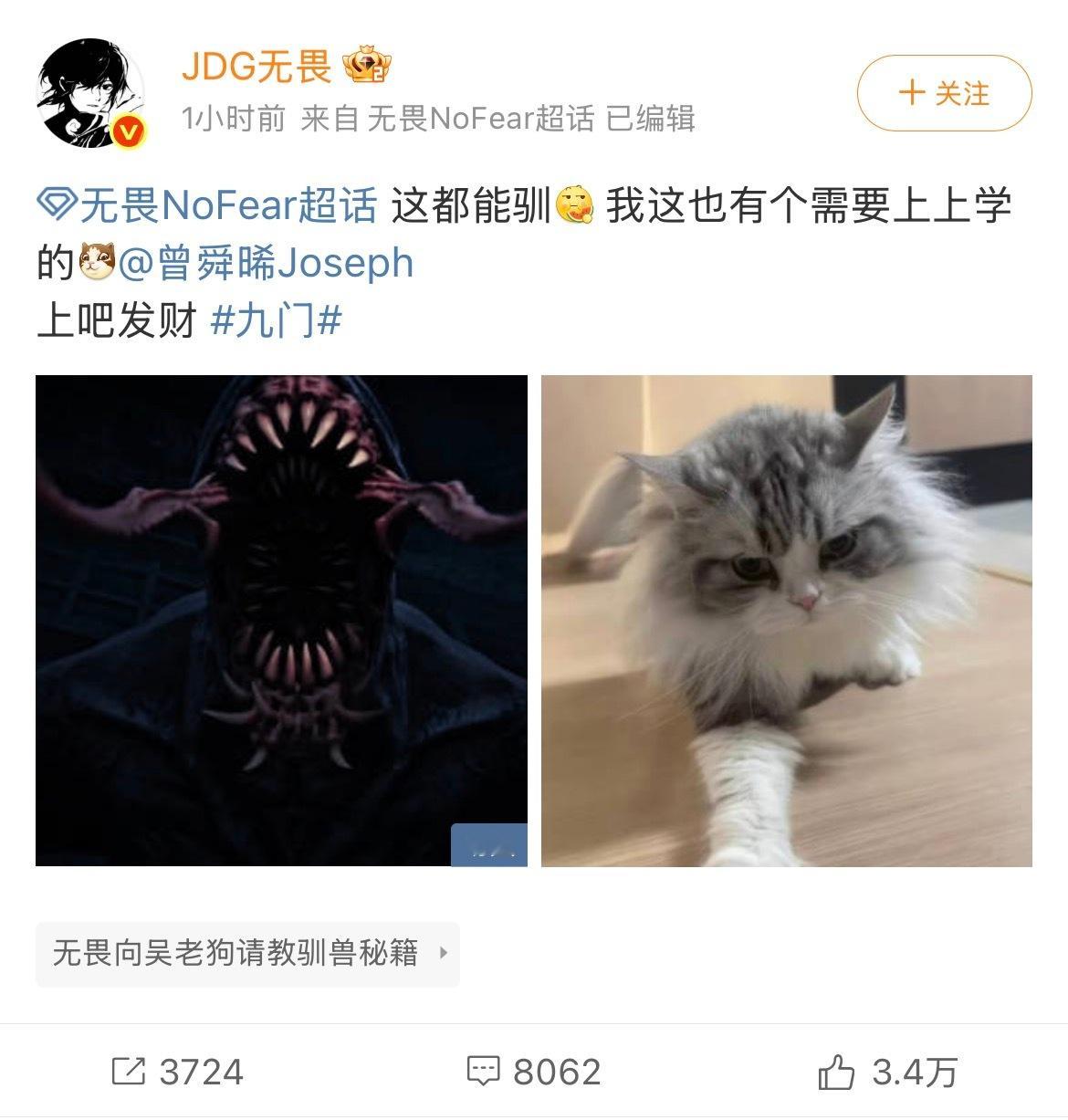 无畏在线驯猫喊话曾舜晞替曾舜晞隔空接下驯猫任务财咪堪称家里的小捣蛋大王，无畏轮番
