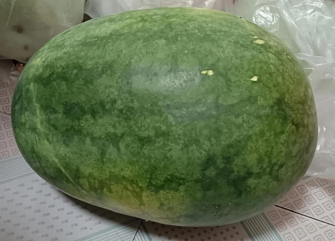 大西瓜好吃，但是千万不要轻易买。前几天在菜市场看见个卖瓜的，西瓜又大又新鲜。