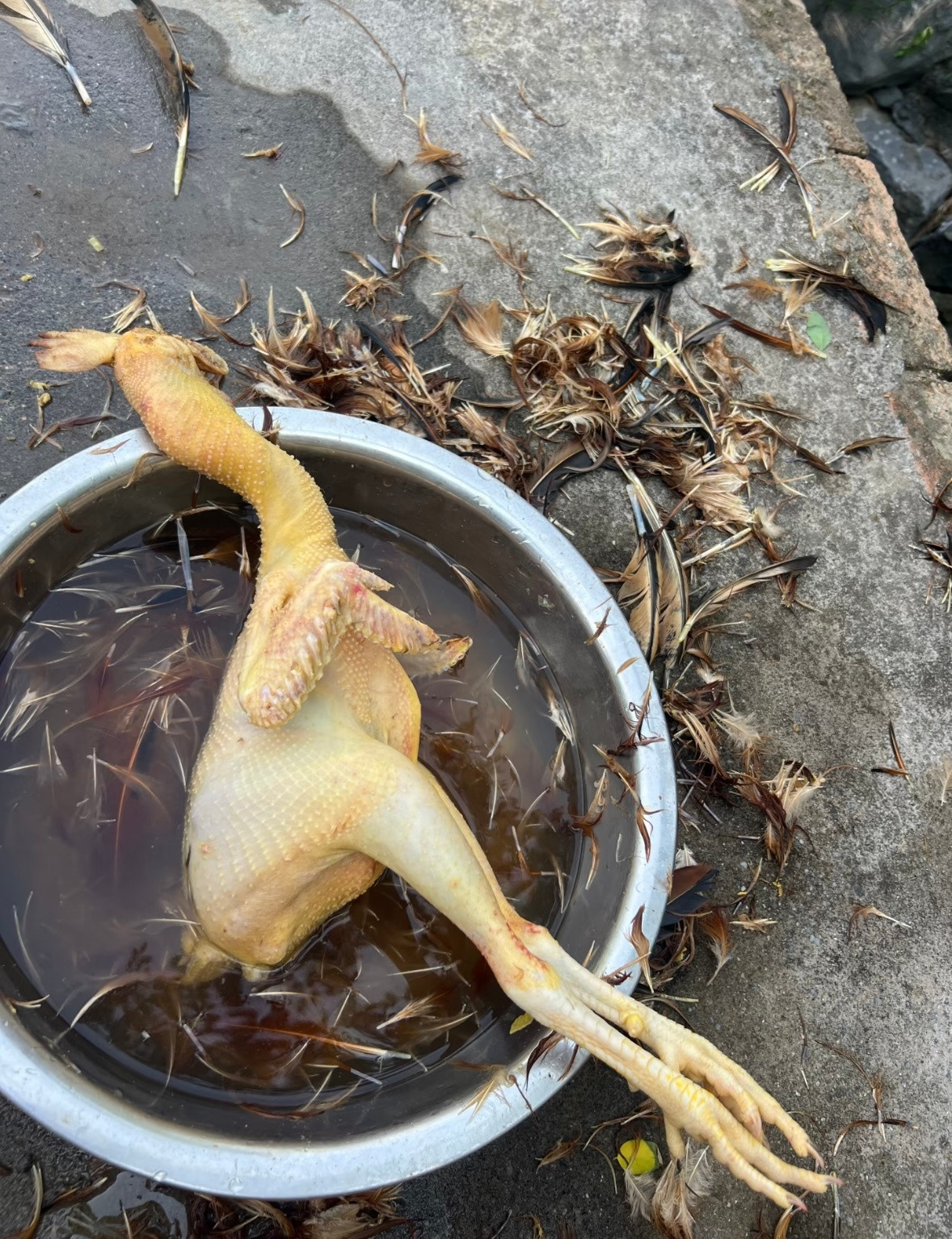是容易坏，不是立马就坏……放个十天半个月的还是可以的。医生提醒洗鸡蛋或制造细菌炸