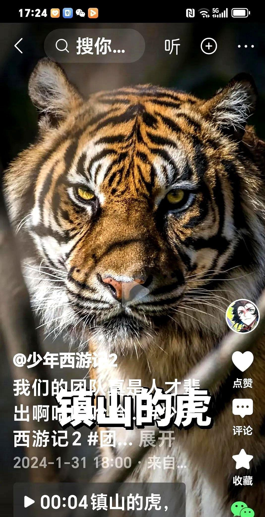 停火求和？乌克兰终于撑不住了---