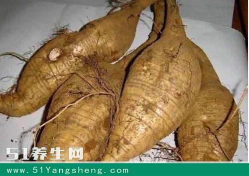 它被称为“血管的天然支架”, 有了它血管畅通无阻