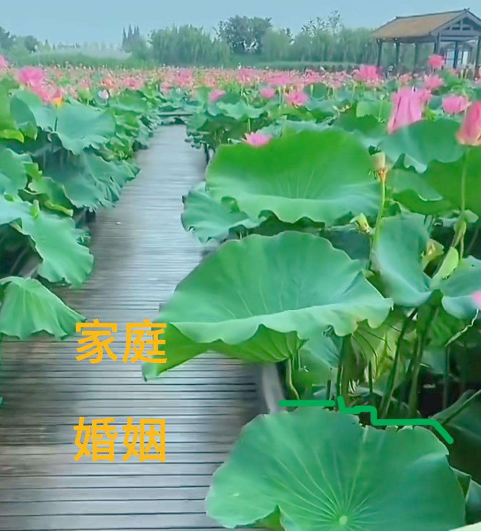 我们该如何过好这一生？婚姻家庭的关系是一个屋檐下生活，每个人都有责任为家出份