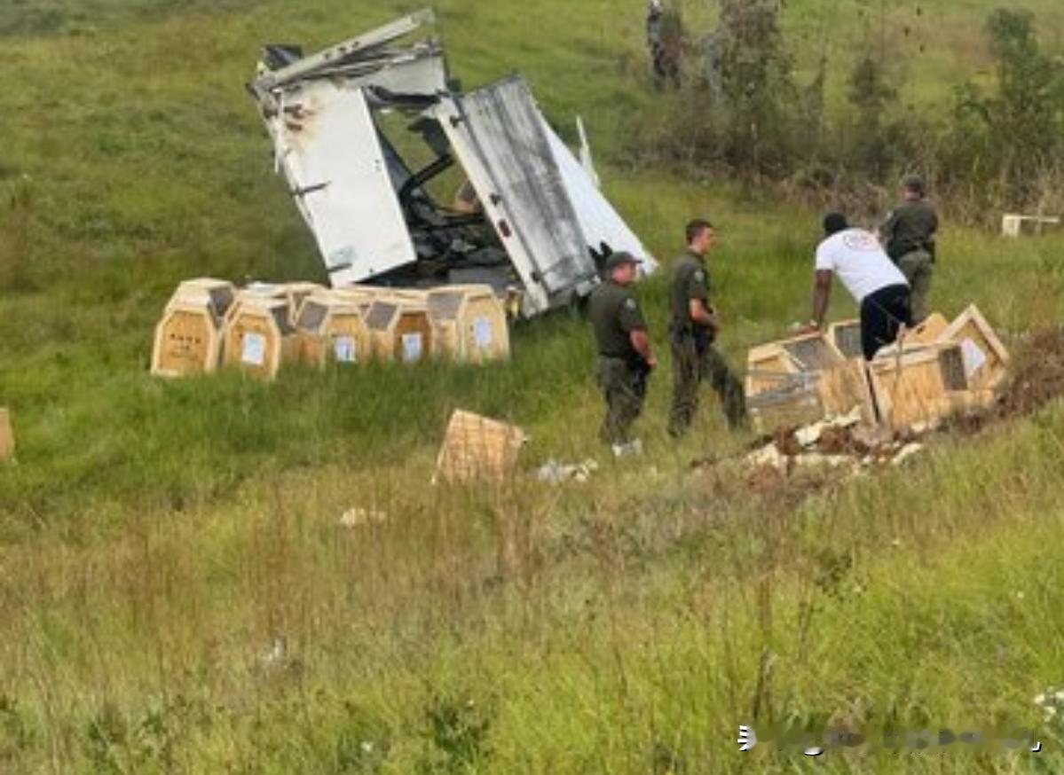 美国宾夕法尼亚州，感染了丙型肝炎、疱疹和冠状病毒的一只实验猕猴逃脱了！是不是意味