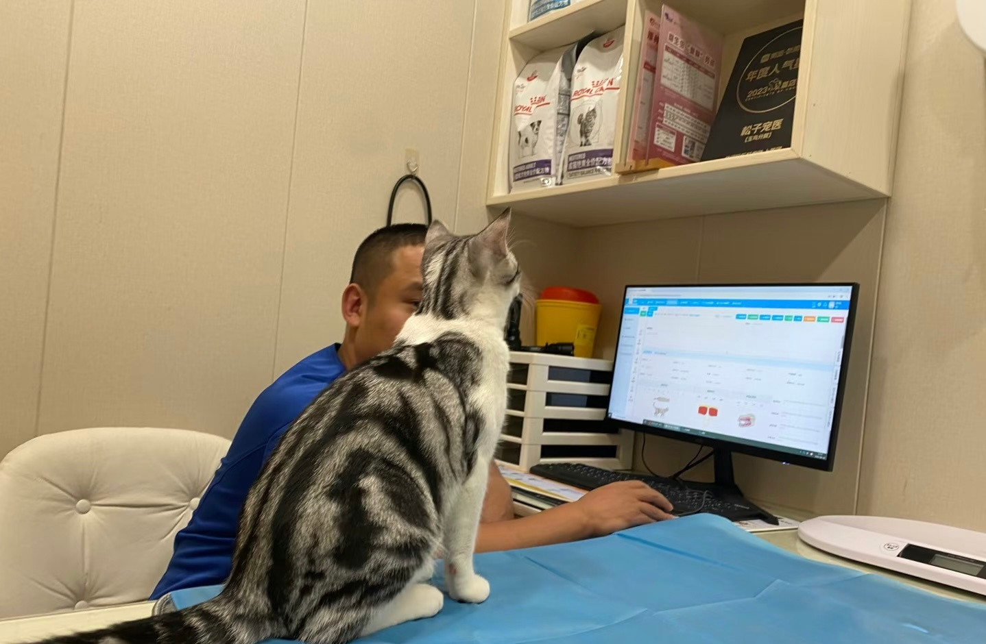 猫猫：医生，我这次的体检结果怎么样呀​​​
