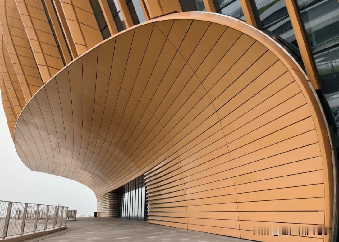 作为广州南沙人，全运会开幕式没在南沙大湾区文化体育中心，确实感觉有点遗憾。南