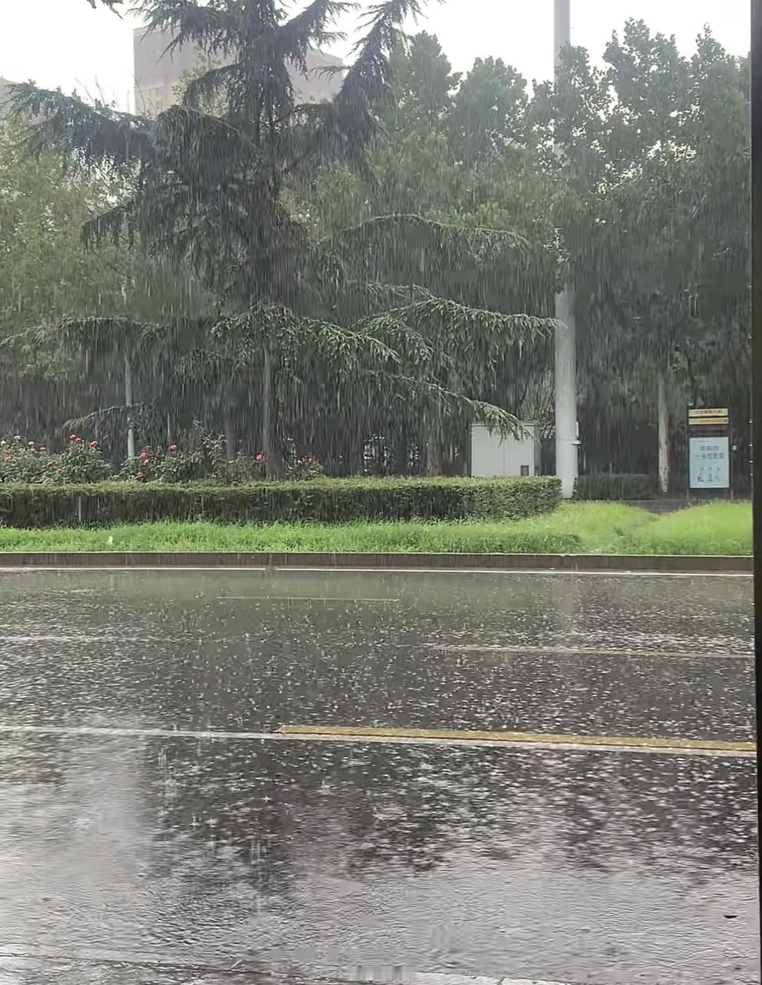 周一早上上班，他走着走着就被楼上泼了盆冷水，淋得浑身湿透。当时老张直接气炸，