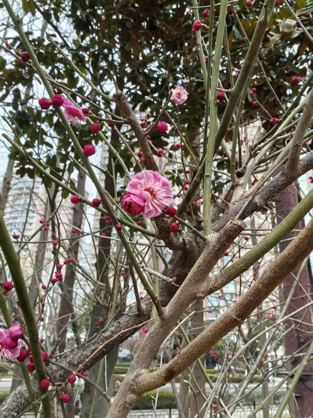 单位有个女同事结婚2年了，听到她吐槽公婆后，我问了她两个问题后，然后决定远离她：