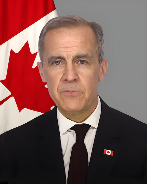 卡尼称如自己的“世代性投资”预算案失败，他已经准备好再次面对选举加拿大据CB