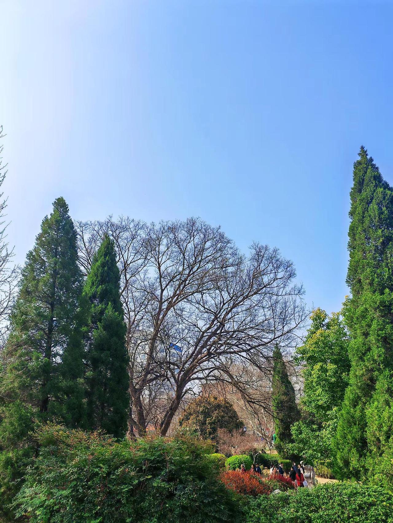旅行推荐官图文热点来了手机摄影用一张照片证明你看过随手一拍都是美景
