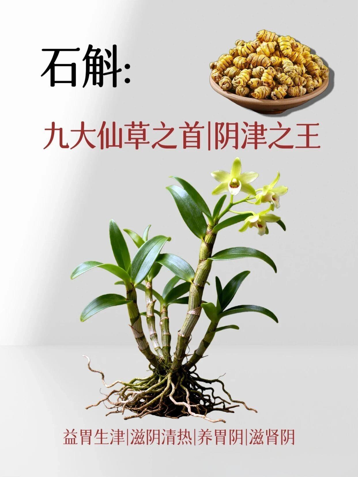 石斛是兰科石斛属植物的新鲜或干燥茎秆，作为我国传统名贵滋补佳品，早在《神农本草经