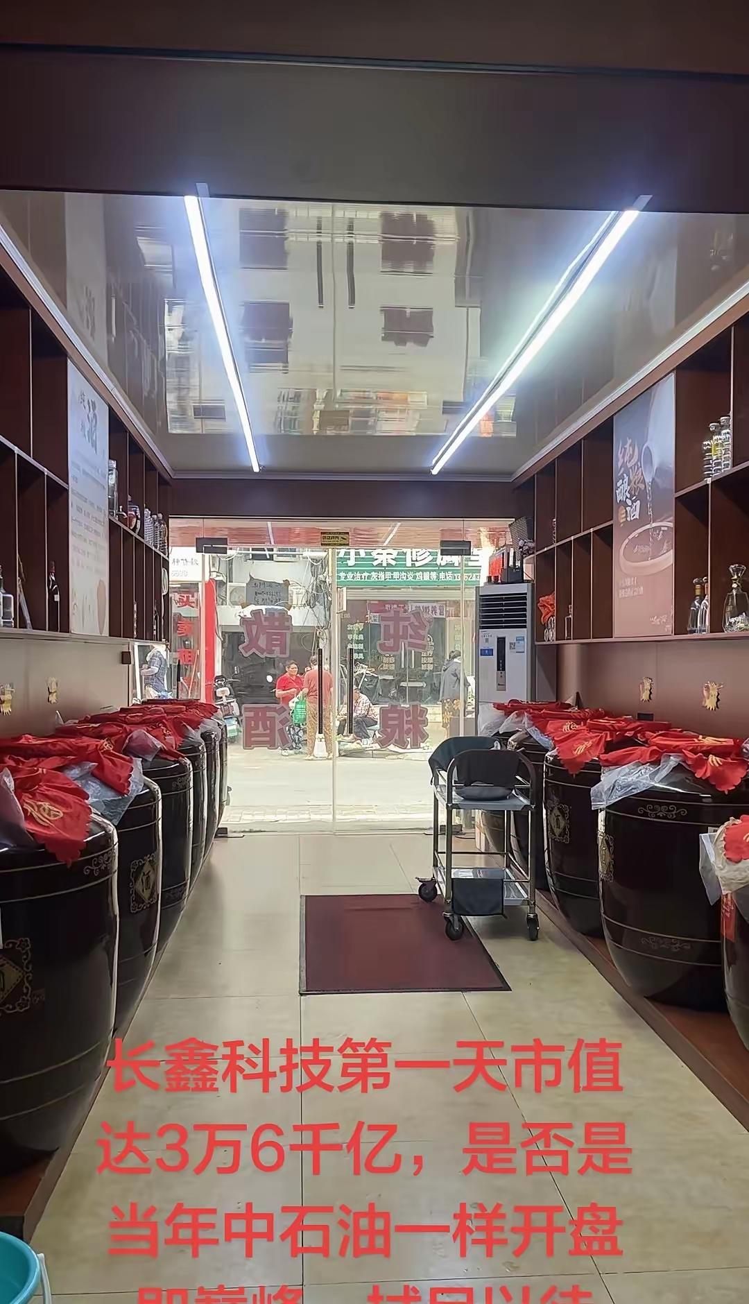 南京徐州艳羡盐城，南京眼红合肥。长鑫科技的上市改变了两座城市的命运。安徽合肥一