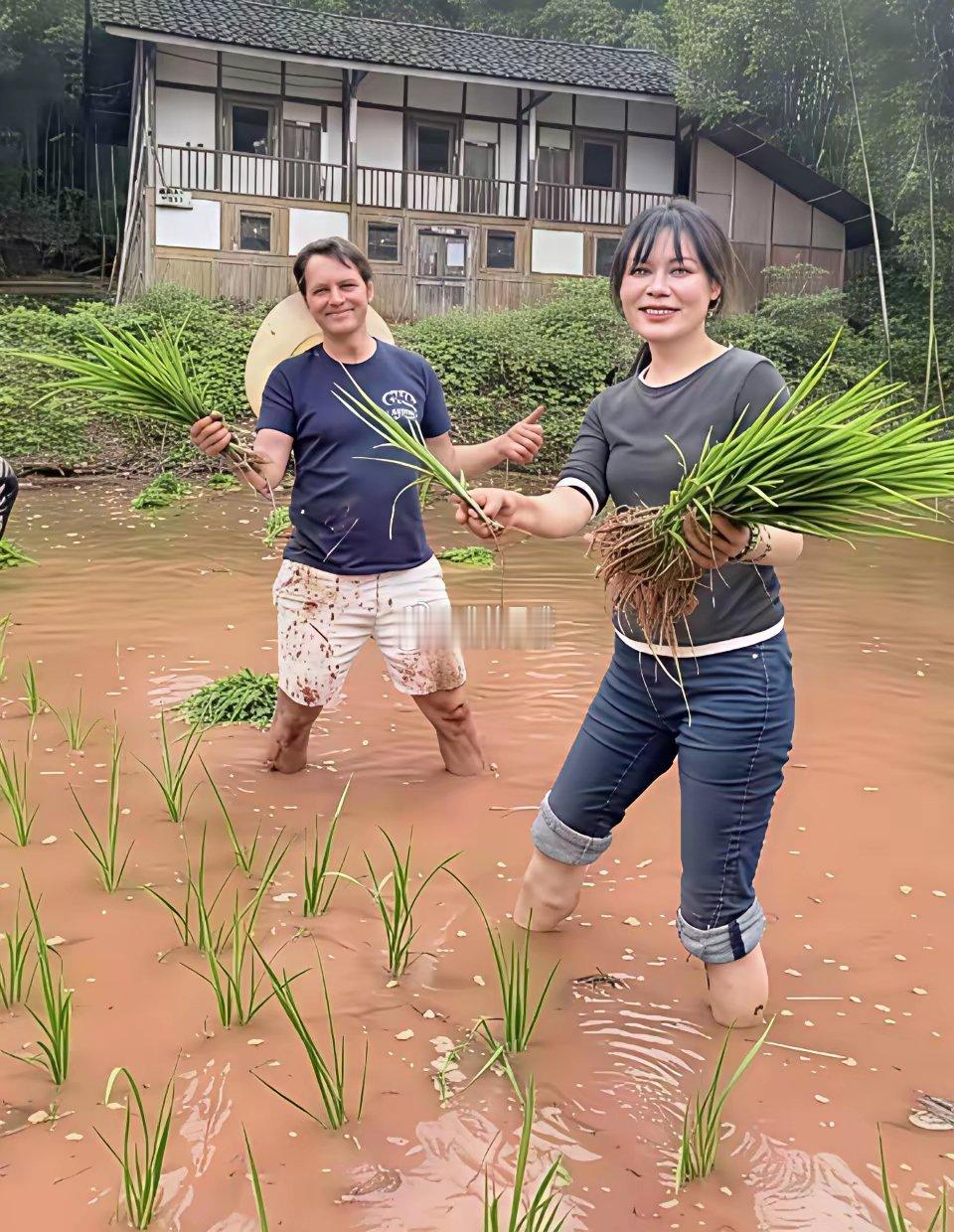 南充的美国女婿马大哈种地一流的