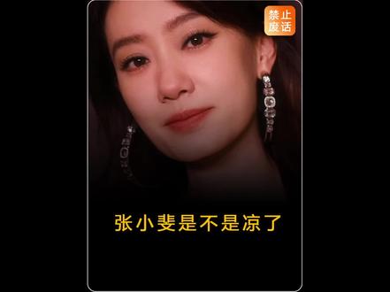 张小斐热度骤降？深度解析背后原因