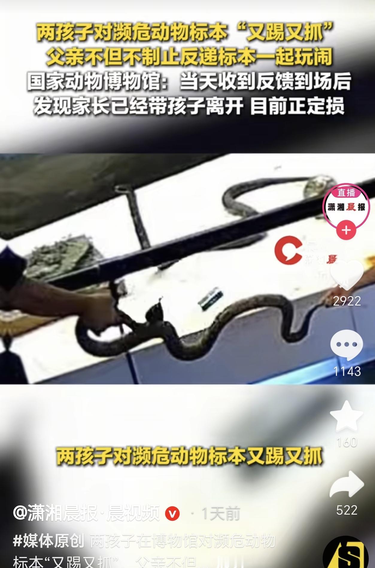 北京，一男子带两个孩子去国家动物园博物馆观赏，没想到两个孩子直接抓舟山眼镜蛇标本