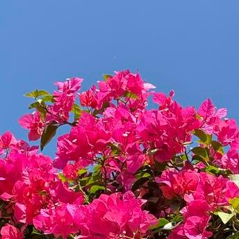 今天  成都火了一把 今天的成都，和煦的微风吹拂着大地，就像歌曲《成都》火