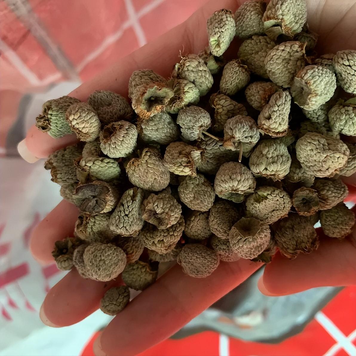 肾精越足，功能越稳，两味药的小方子，功能越来越强！老话说“肾精一亏，百病由