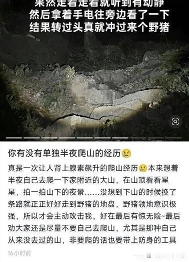 在网上，你甚至可以看到人一拳打死野猪