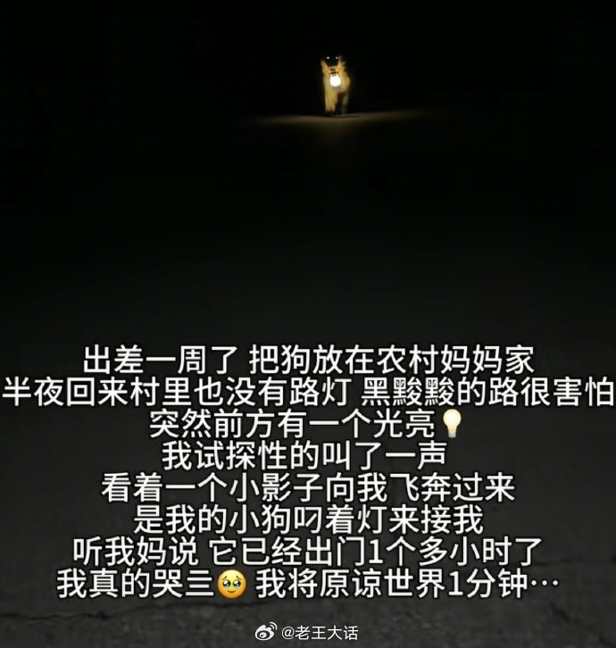 上网就是为了看这种美好的事情​​​