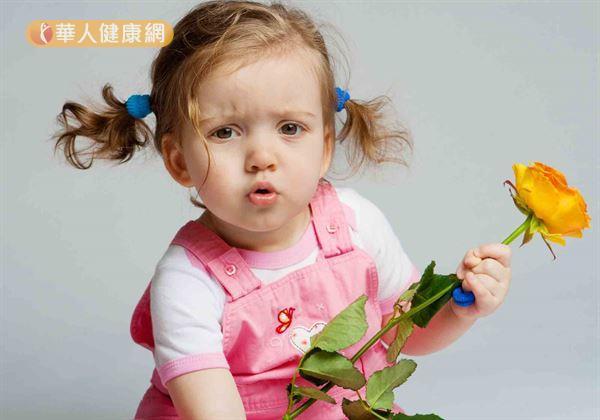 忙碌时期的救援好帮手! 营养师教你DIY副食品营养冰砖