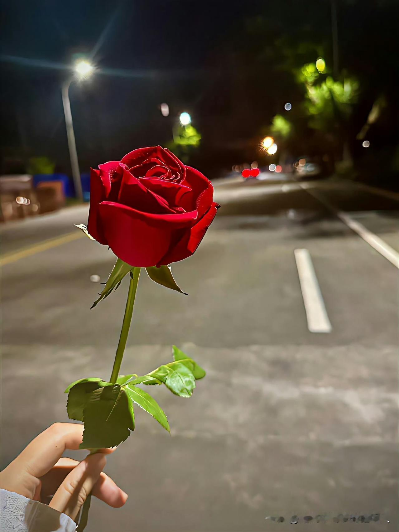 活到39岁，早就过了被催婚裹挟着焦虑的年纪了。身边的朋友不是已婚生子，就是在