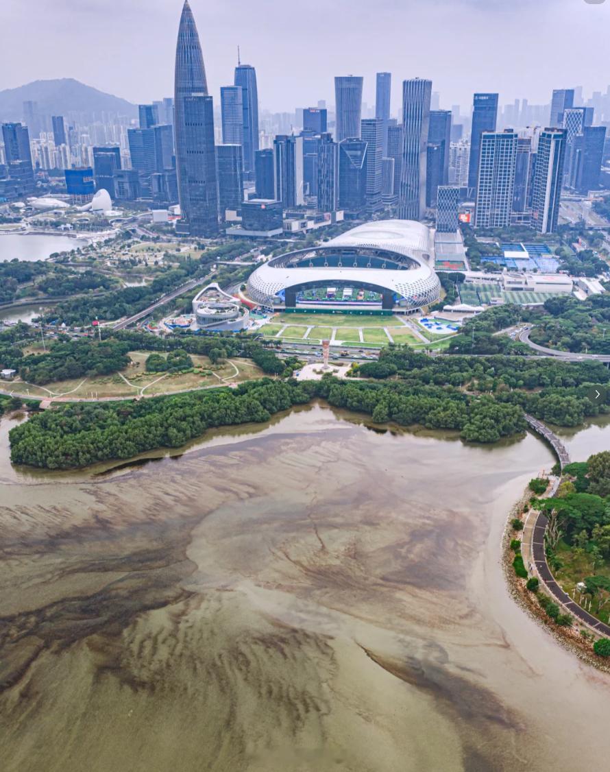 深圳赤潮，属于季节性自然生态现象，过阵子就好了。深圳