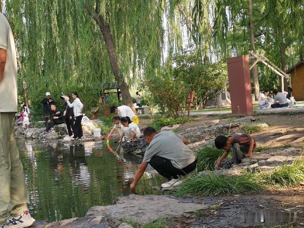 刚才刷到一个视频，儿媳妇在问：“你们说孩子的尿不湿、奶粉钱应该由谁来出呢”？评