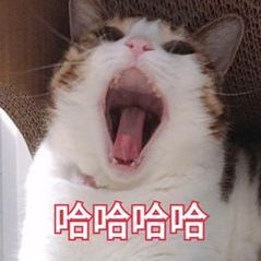 原来拍照不好是没掌握好技巧为什么你的照片总感觉灰蒙蒙？试试“黄金一小时”法则！