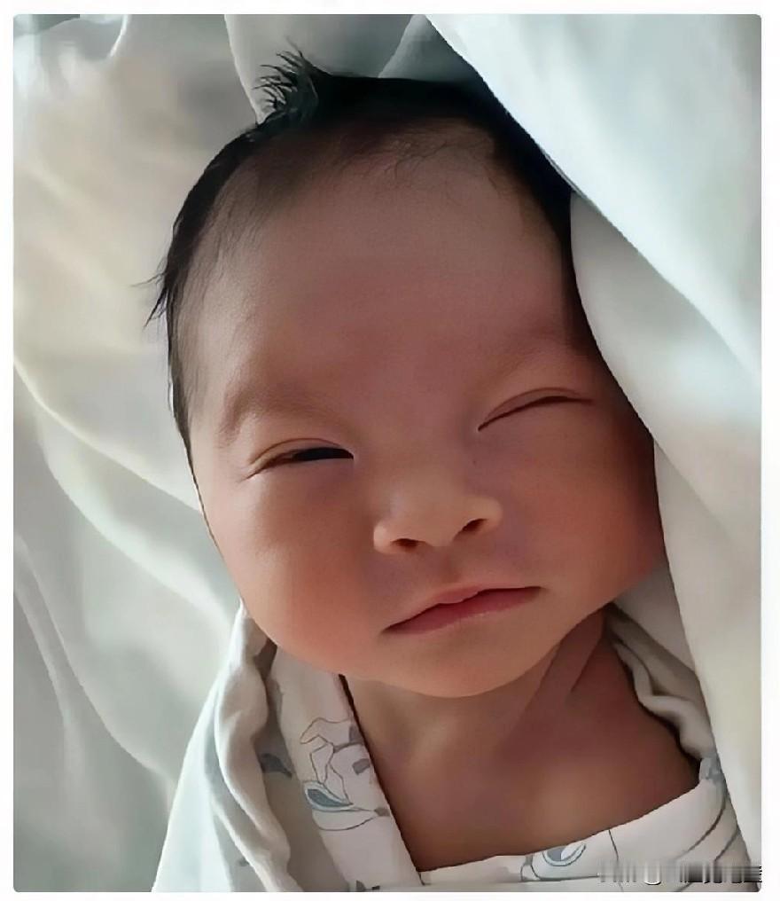 估计马筱梅自己都没想到，被网友质疑了这么久的整容，居然在儿子这儿直接拿到