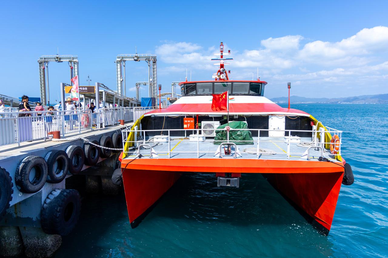 来西岛第三天，我摸清了渔村码头的“生物钟”。清晨六点，渔船的马达声准时响起。渔