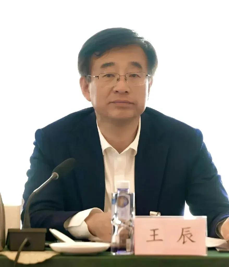 对不起，我听完忍不住笑了。王辰院士说，4+4选拔的是未来中国医学界的梦之队。在