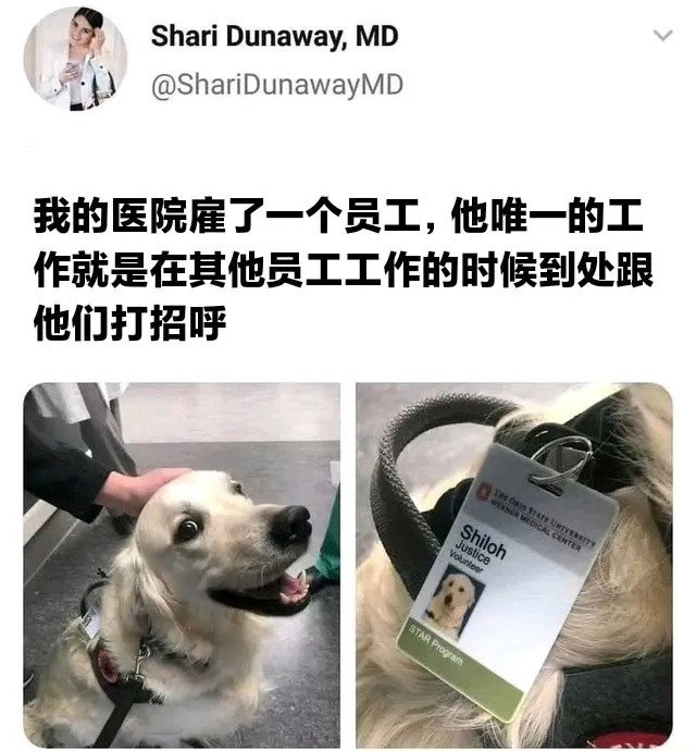 治愈患者meme​​​