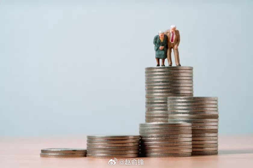 两会观察团体面养老的资金缺口已成当下现实，从私企职工的百万储备需求，到不同缴费