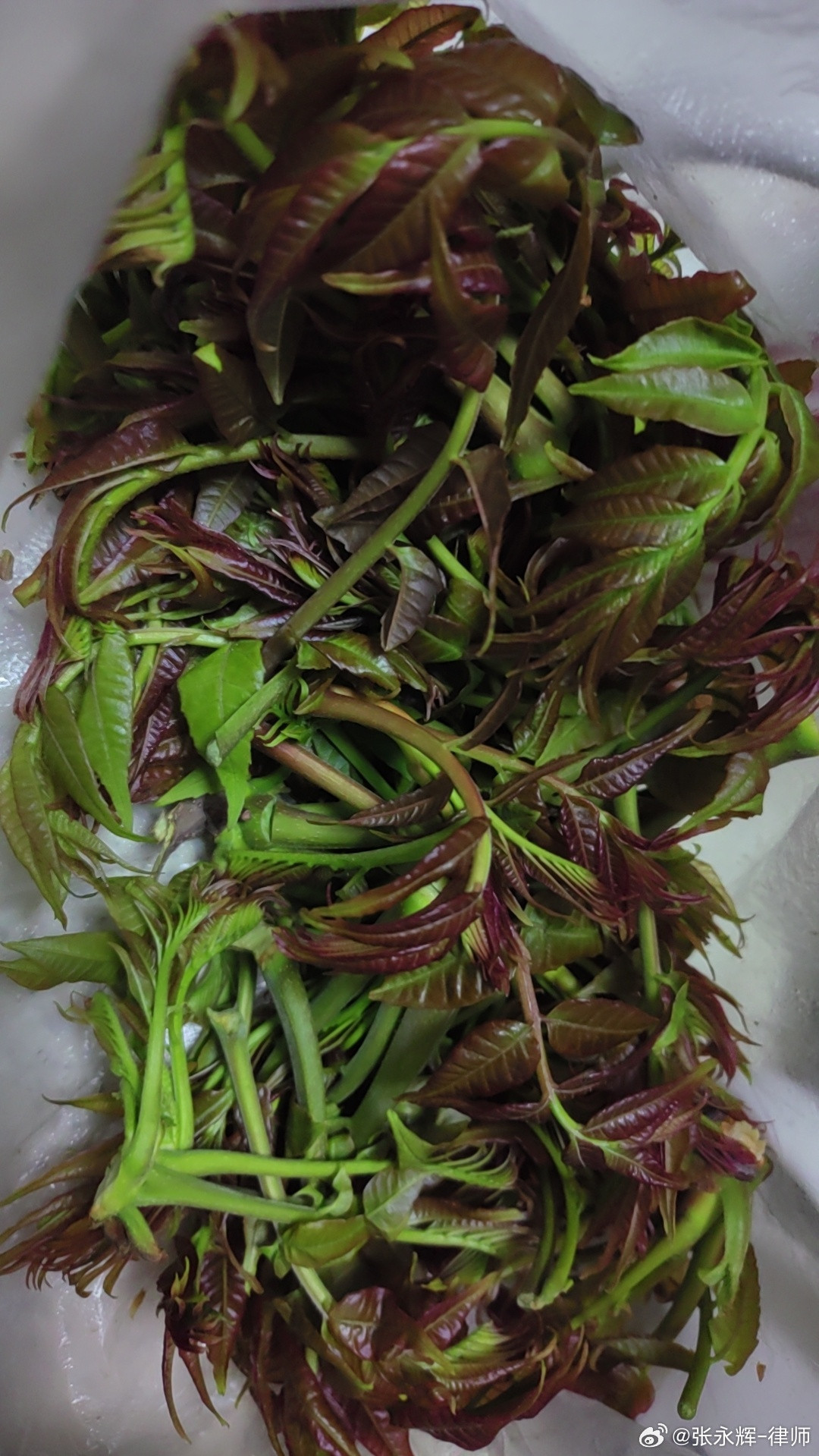 北方人最爱的春味！