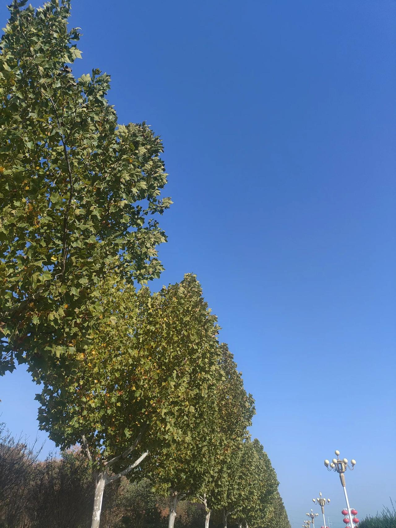 高考难度，已经没有下降的空间第一，如果高考题再简单，就选不出尖子生了很明显