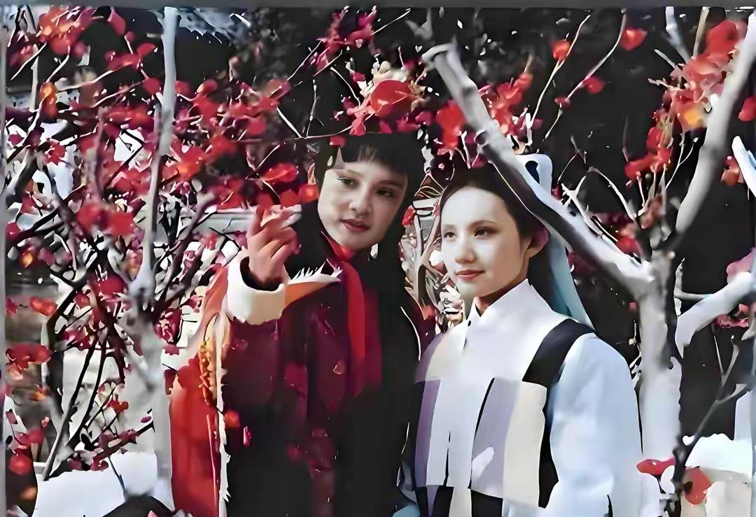 贾宝玉对妙玉说了两句话话，为何能让妙玉心跳耳热接着大病一场？要弄明白这事儿