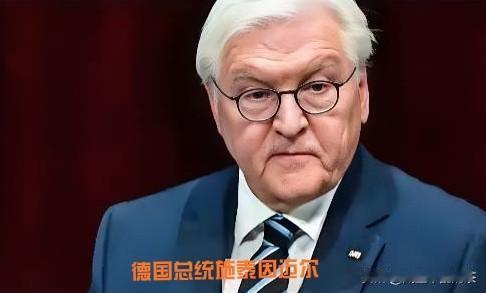 德国总统急了！德国总统施泰因迈尔这次算是说了句大实话，1月7日直接对着镜头来