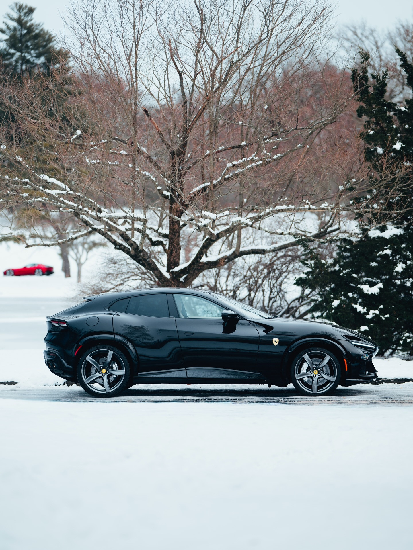 FerrariPurosangue法拉利purosangue好风景～