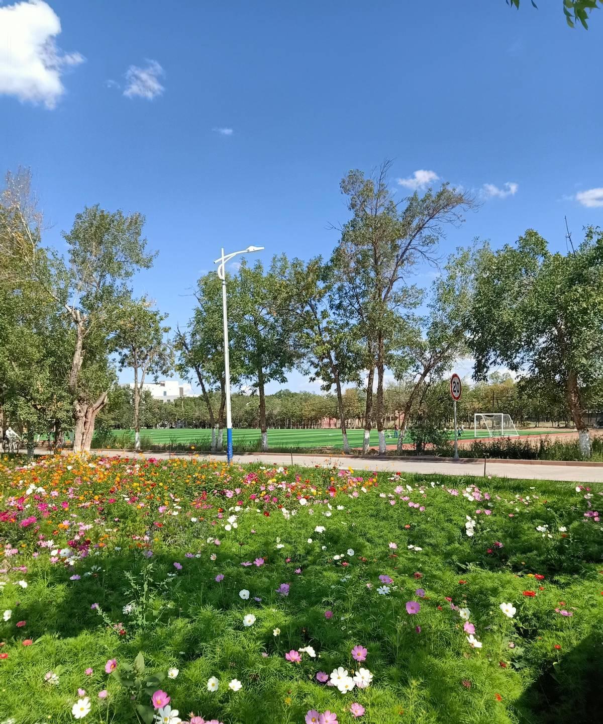 李盈盈最近深受伤病困扰，王艺竹为此被迫让位，天津女排阵容随即大变，在赛场上引发诸