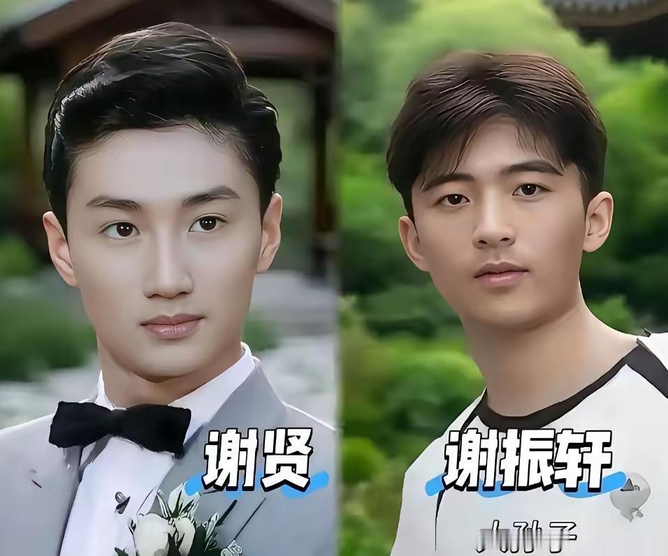 帅不过三代，这真的是铁定了老谢家的颜值，真的是一代不如一代最帅的就是谢贤了，8