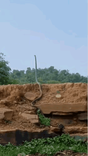 外面的世界真精彩