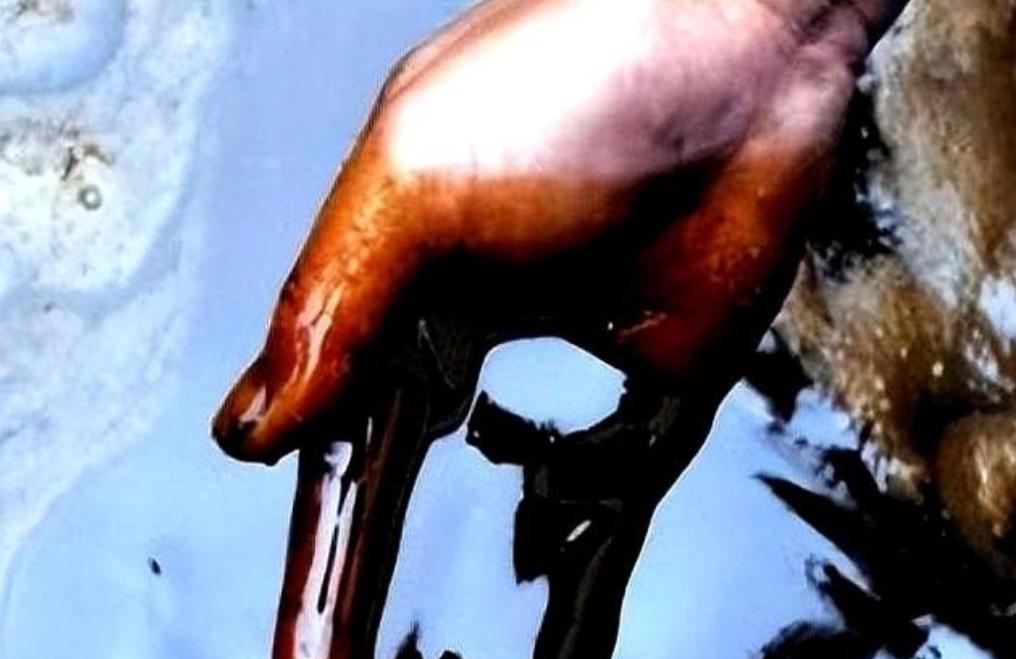 火葬场产生的“尸油”去了哪里？很多人不知道，尸体在燃烧的时候会产生“尸油”，但这