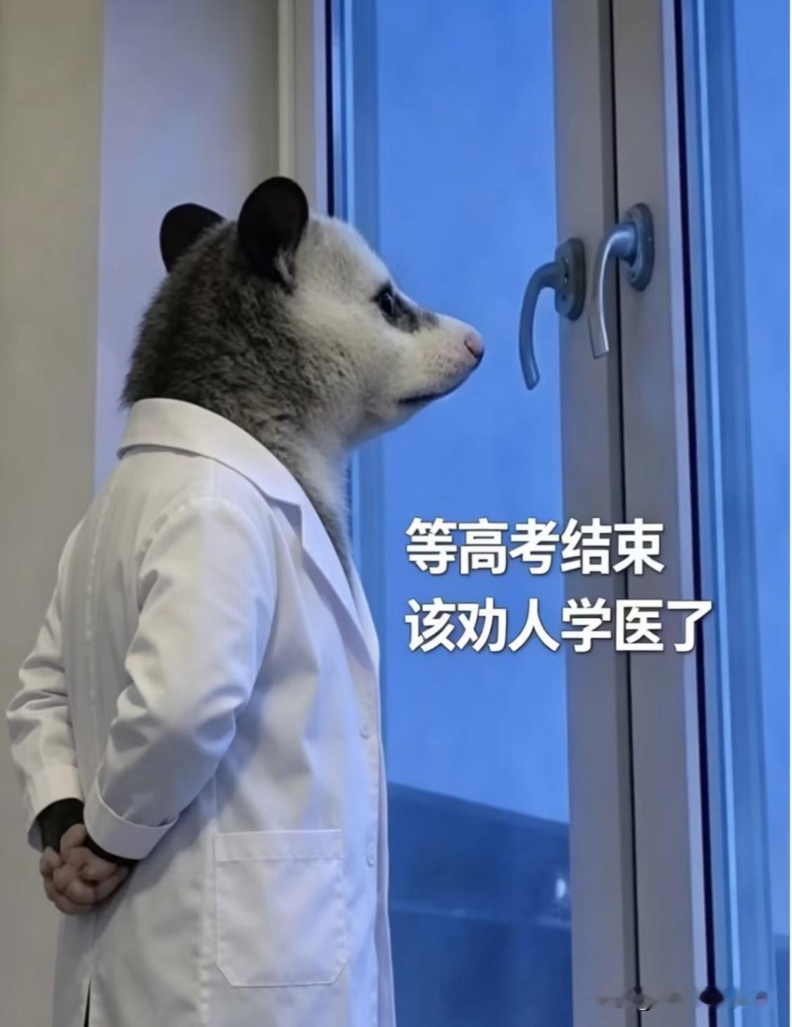 一位知名学者说：“医改成不成功，不用去听医生们怎么说。更不用听新闻、听官方怎么
