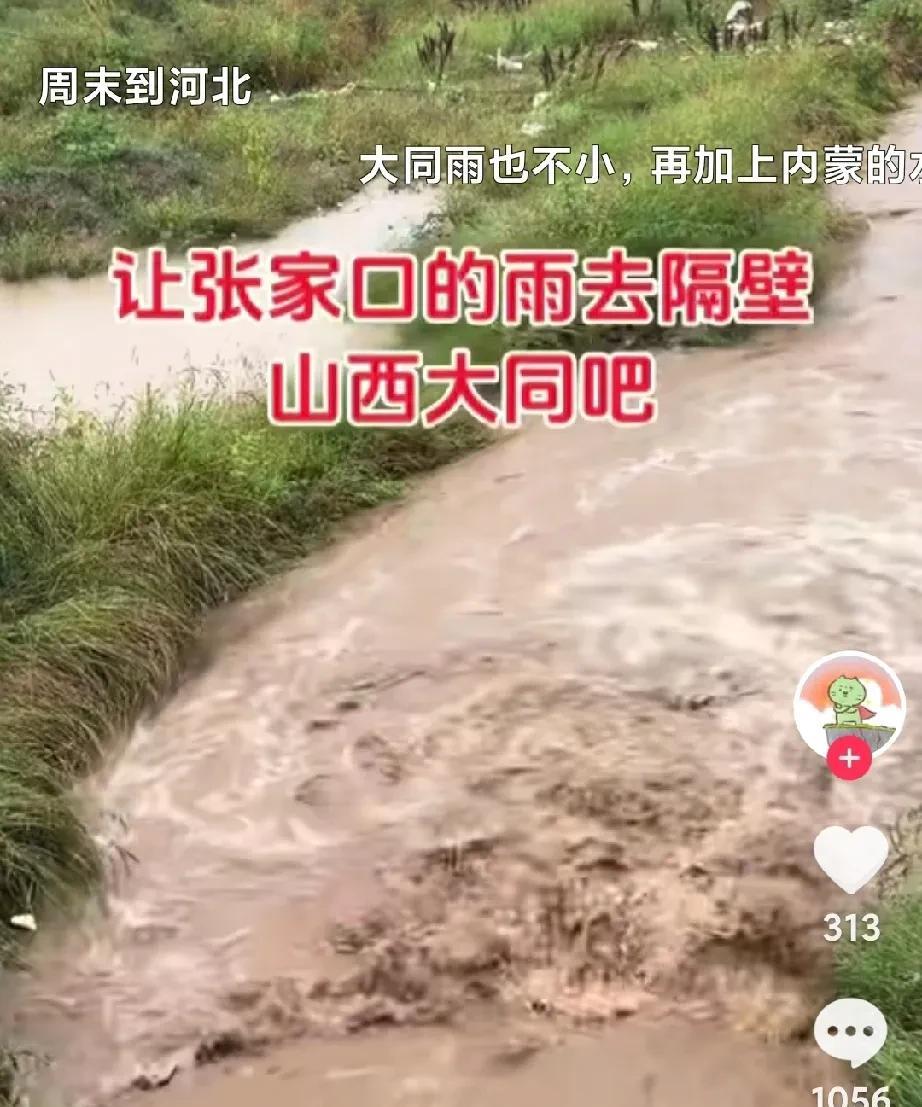 张家口这位网友，大同和你无冤无仇，你怎么能这样“祸水东引”啊？“本是同根生相煎