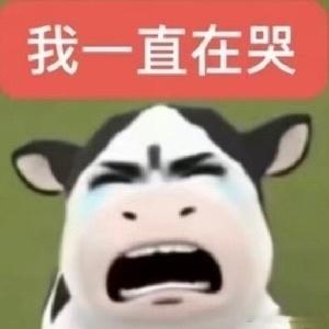 没招了我rmt我外显呢