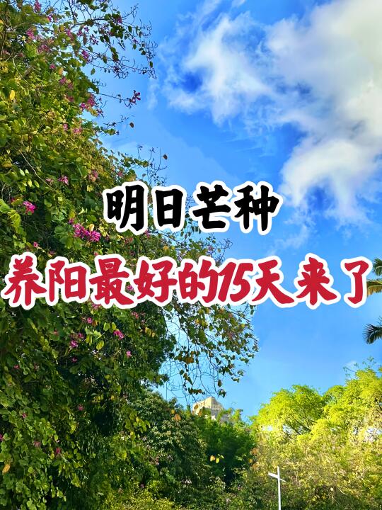 芒种后｜哪怕坚持一个，阳气都会很快补回来