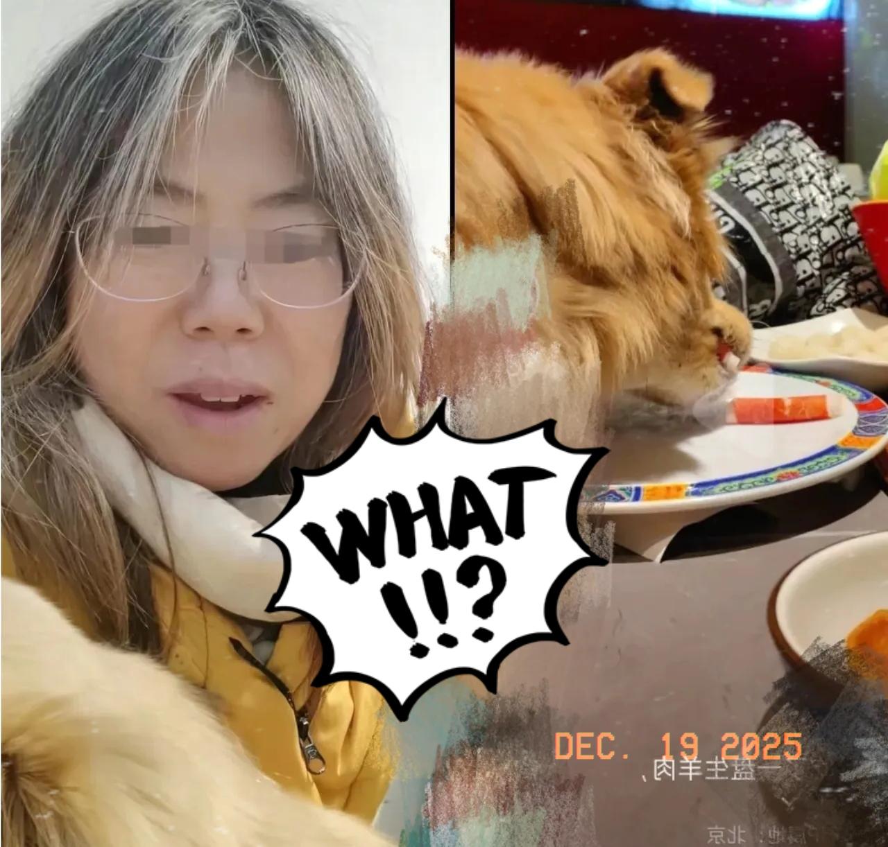 见过没素质的！没见过把没素质当光荣的！女子带狗进涮肉馆，直接抱上桌舔生羊