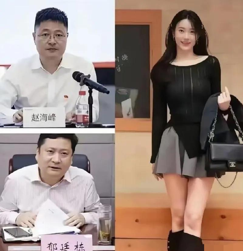 女方母亲也应该不是普通人，能直接举报到省纪检组，就是踢到铁板了！应该是严恁这二