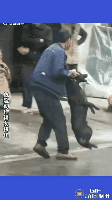 大哥你真的很勇但是我觉得你不应该摔狗应该报警，然后找个律师让狗主人赔的倾