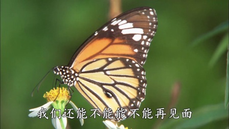 2372745178628054645.jpg?id=0