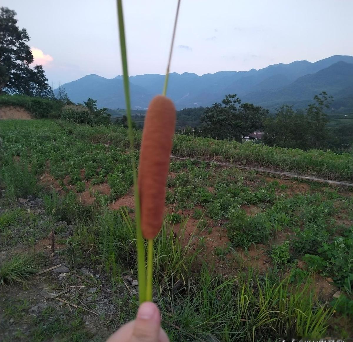 谁说过了35岁就是“职场废人”？这位在家带娃6年的宝妈，不仅把自己“奶”回了职